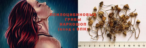 кокаин колумбия Алексин