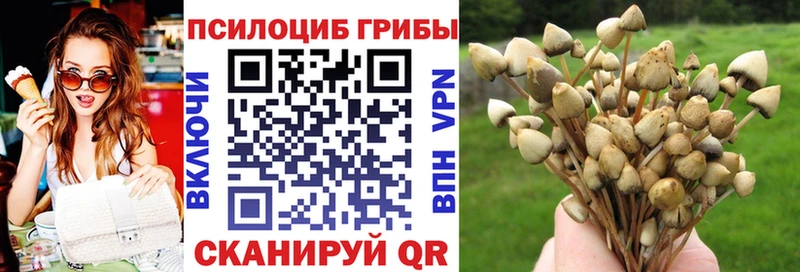 Галлюциногенные грибы MAGIC MUSHROOMS  ссылка на мегу tor  Сыктывкар  цена наркотик 